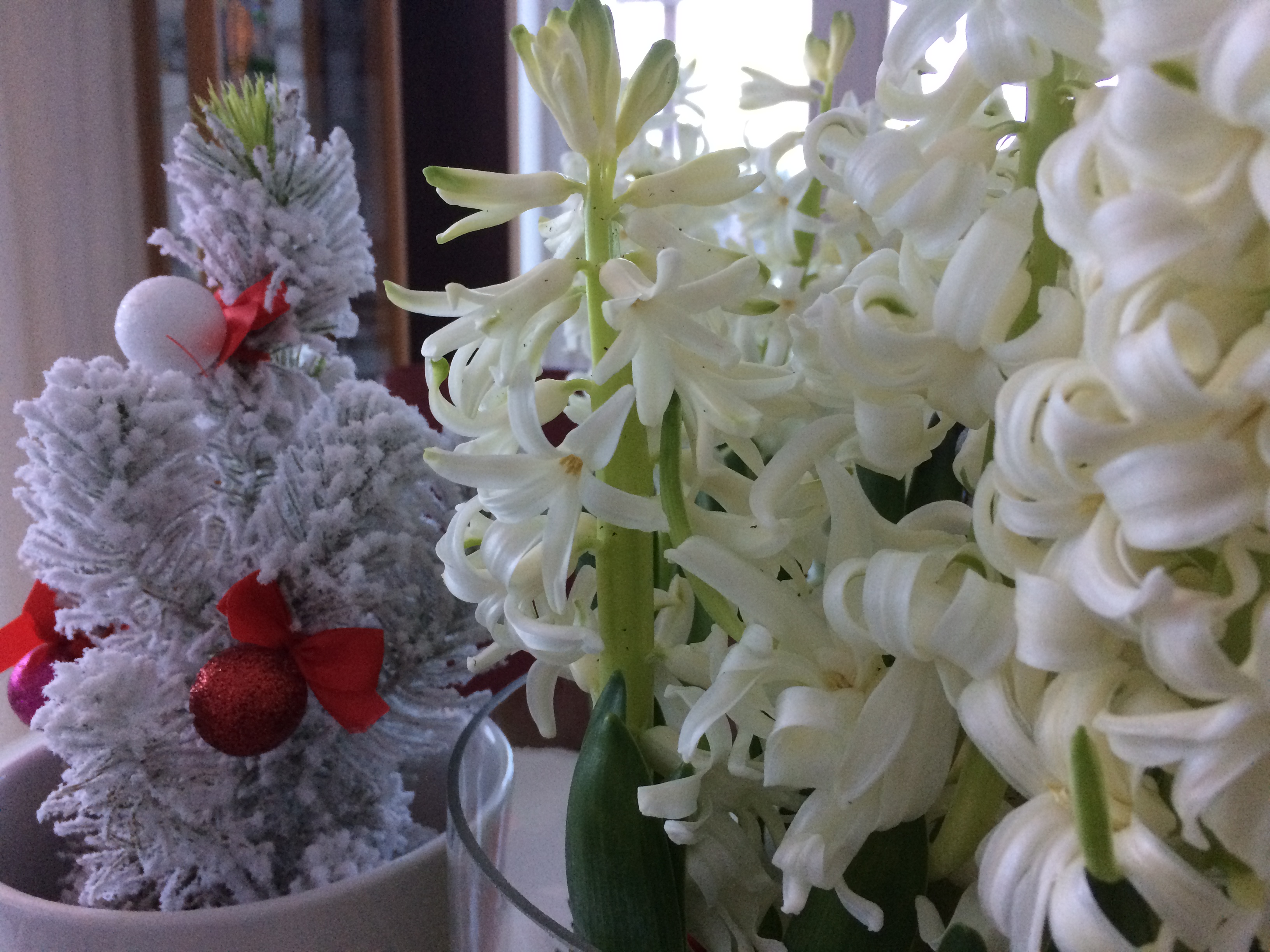 God Jul och Gott Nytt År